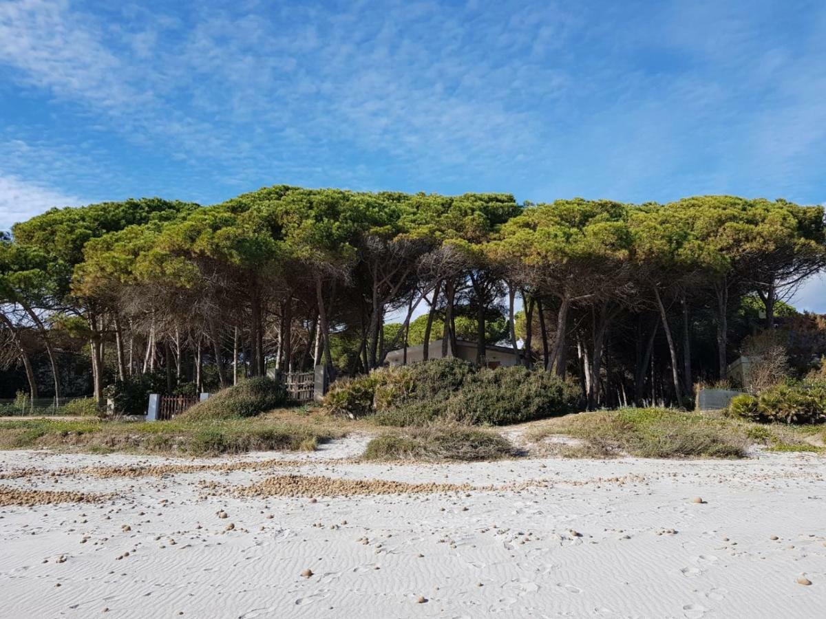 Mimosa Bilocale Cala Liberotto Zewnętrze zdjęcie