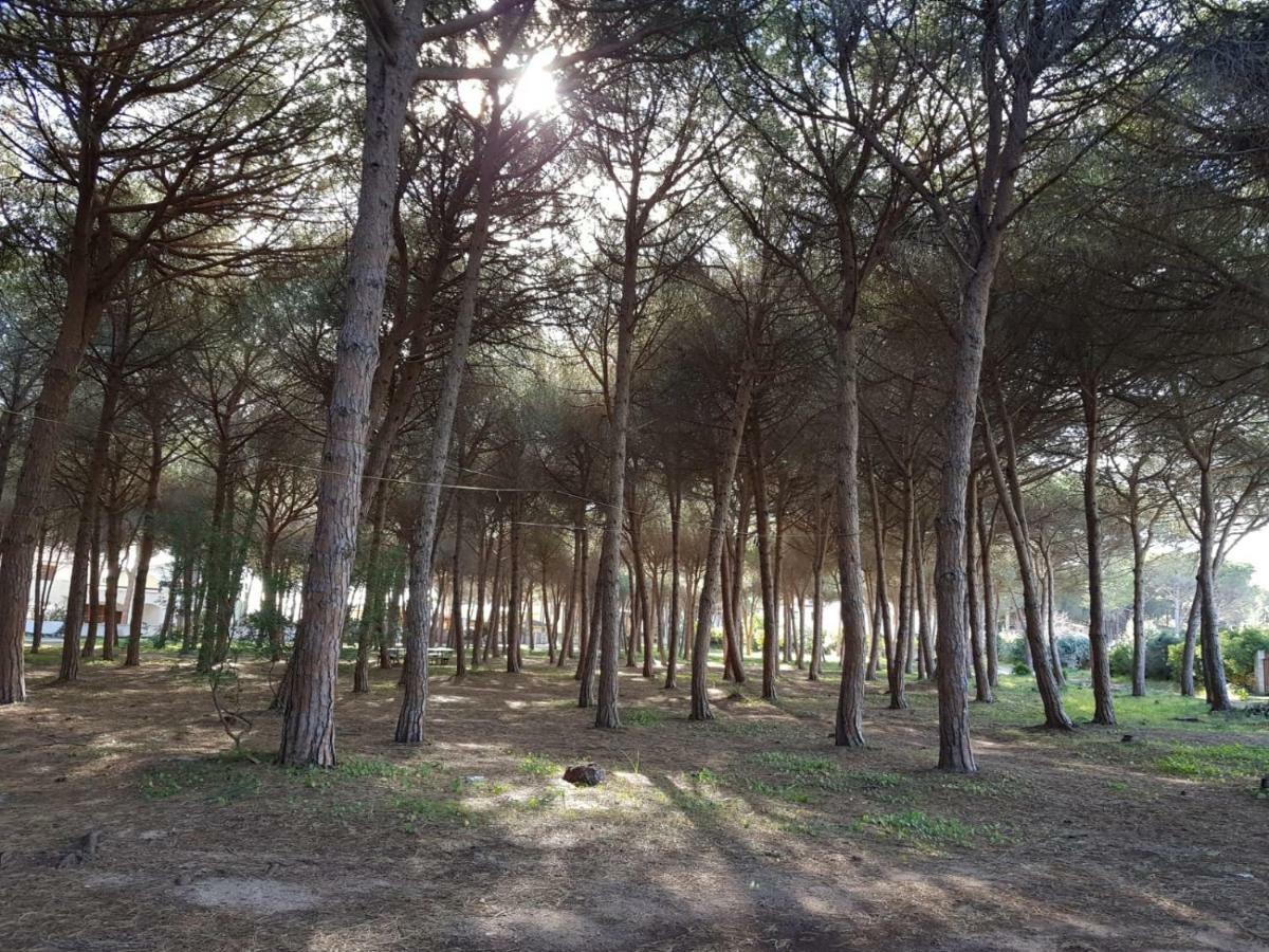 Mimosa Bilocale Cala Liberotto Zewnętrze zdjęcie