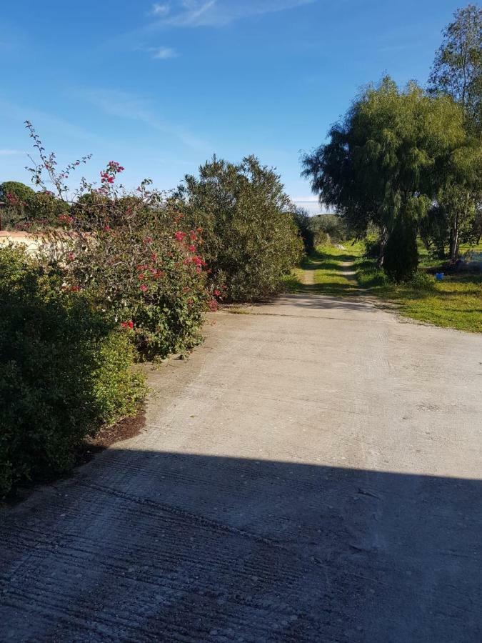 Mimosa Bilocale Cala Liberotto Zewnętrze zdjęcie