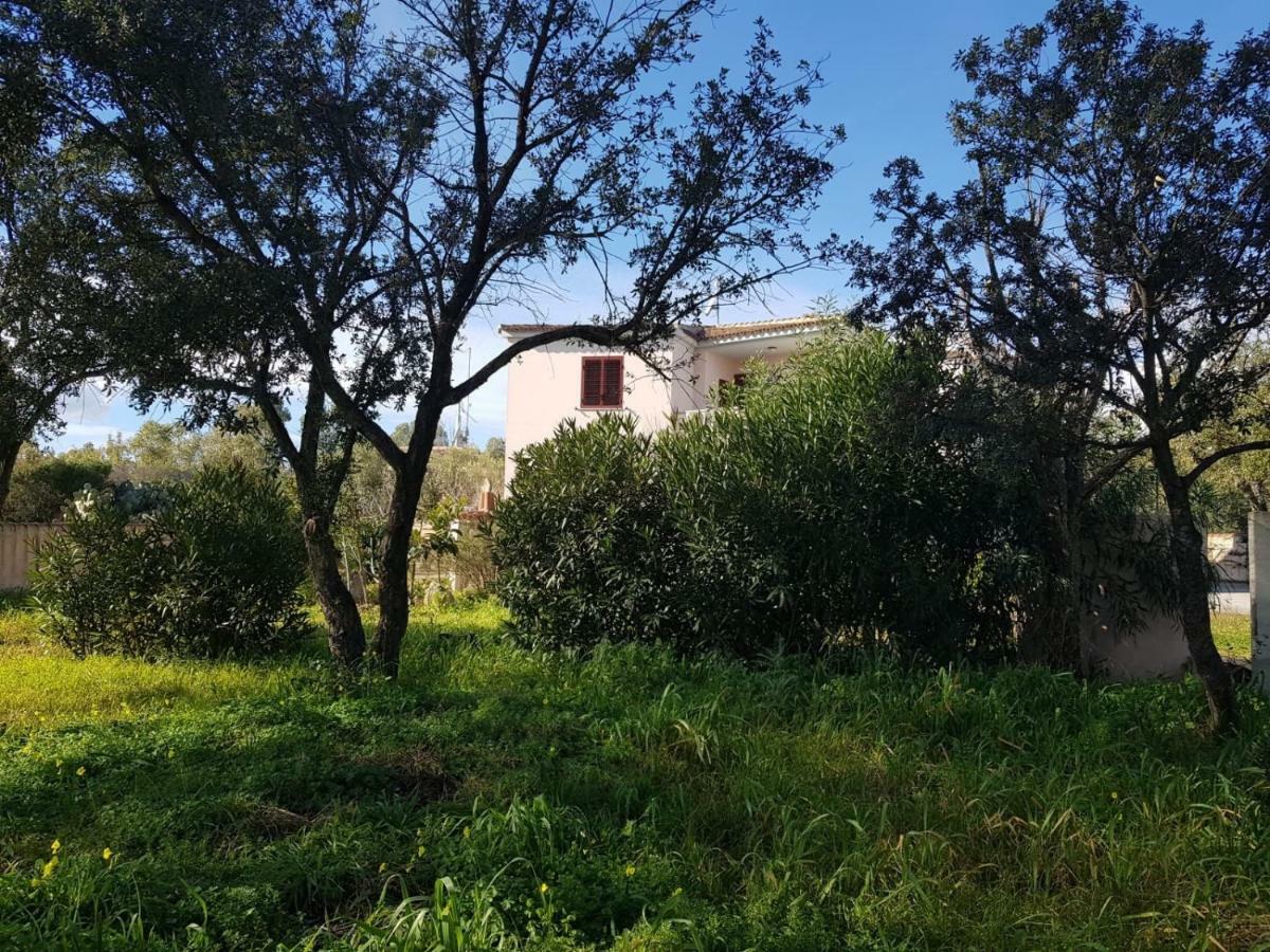 Mimosa Bilocale Cala Liberotto Zewnętrze zdjęcie