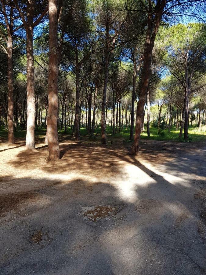 Mimosa Bilocale Cala Liberotto Zewnętrze zdjęcie