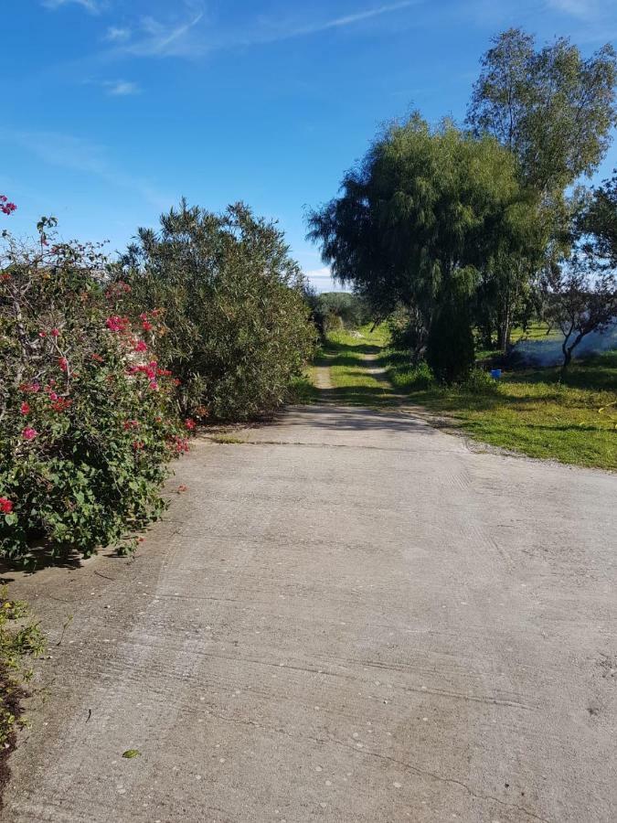 Mimosa Bilocale Cala Liberotto Zewnętrze zdjęcie