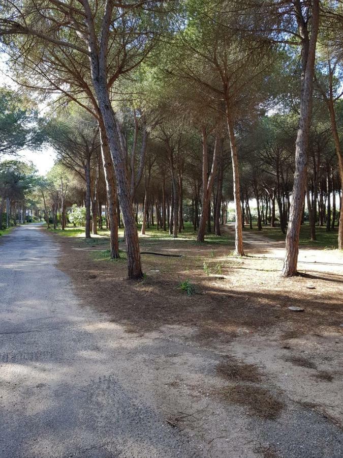 Mimosa Bilocale Cala Liberotto Zewnętrze zdjęcie